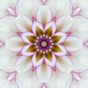 Deprogrammierung - Einzeltermin