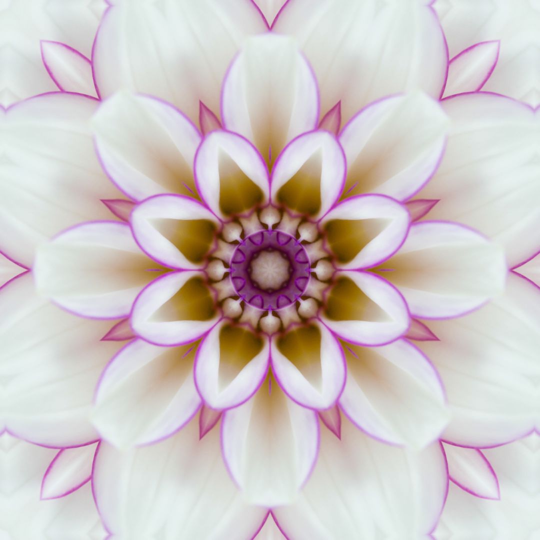 Deprogrammierung - Einzeltermin