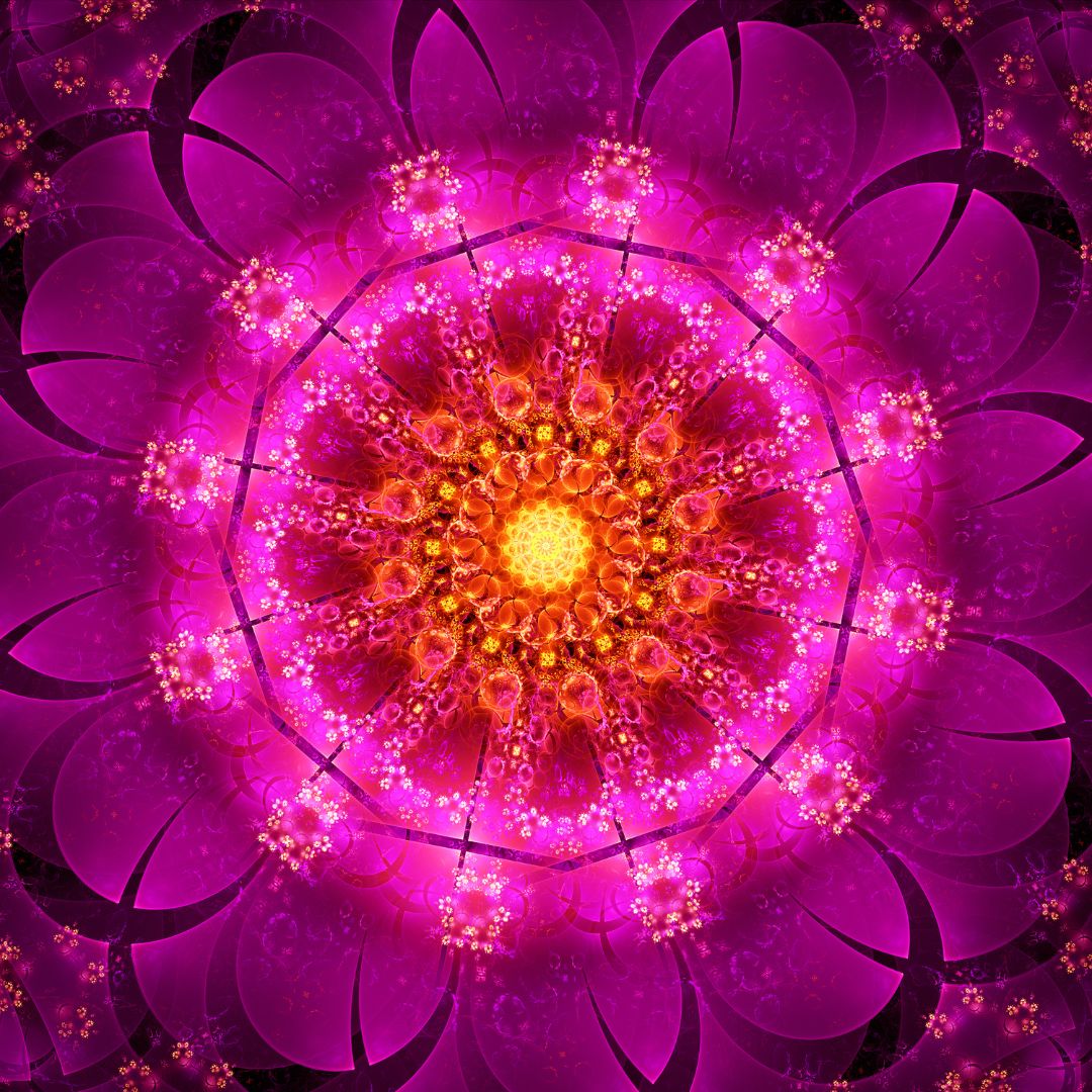 Intuitionstraining Anne Boddin - intuitionstraining-mit-anne.de (2)