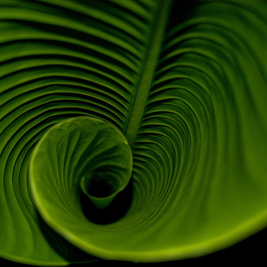 Intuitionstraining Anne Boddin - intuitionstraining-mit-anne.de (5)