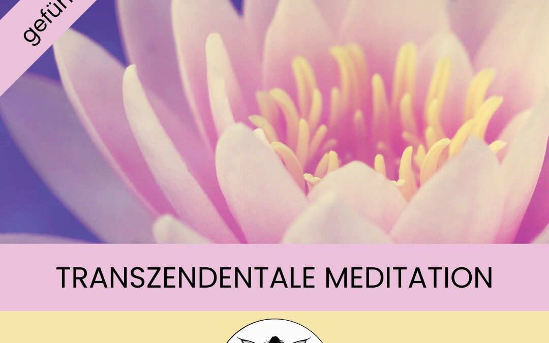 Meditation – Transzendentale Meditation